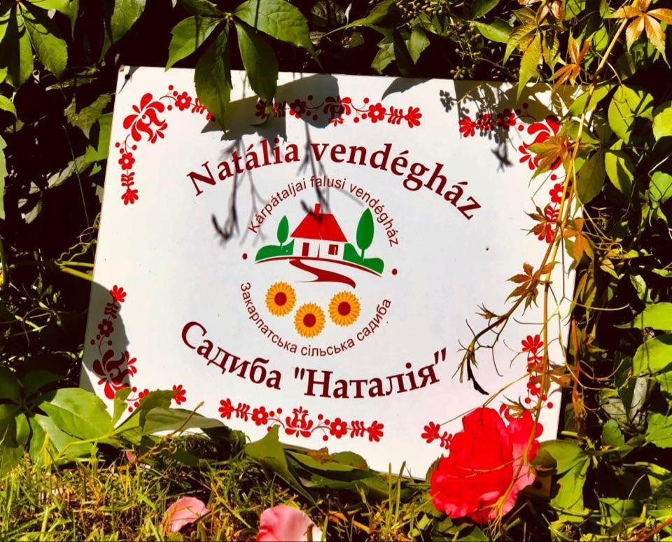 Natalia Vendeghaz Hotel Csetfalvat Exterior foto